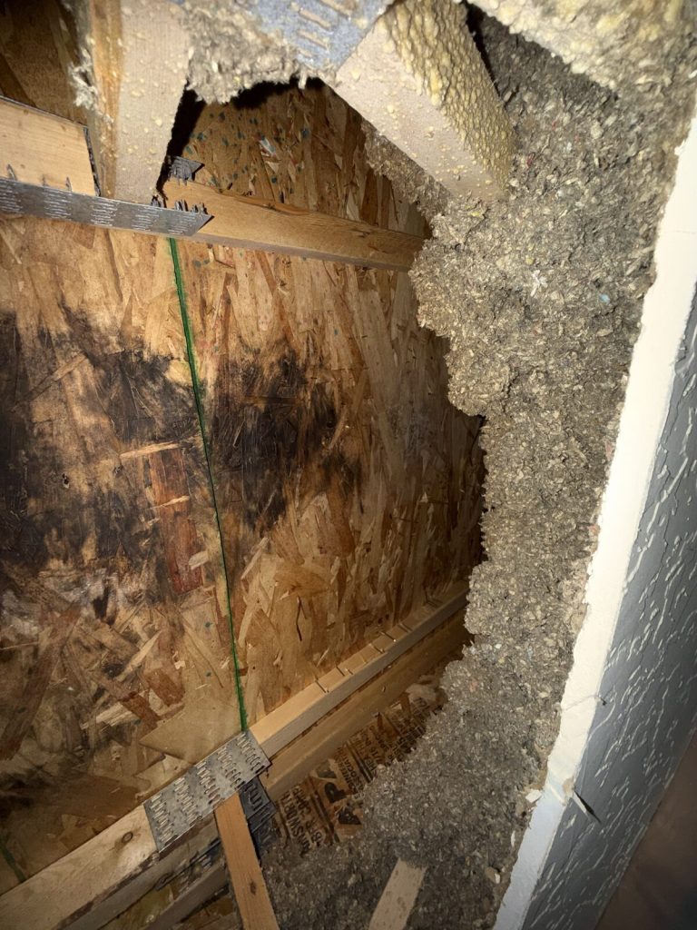 Moldy roof sheathing exposed after opening a bathroom ceiling above a shower